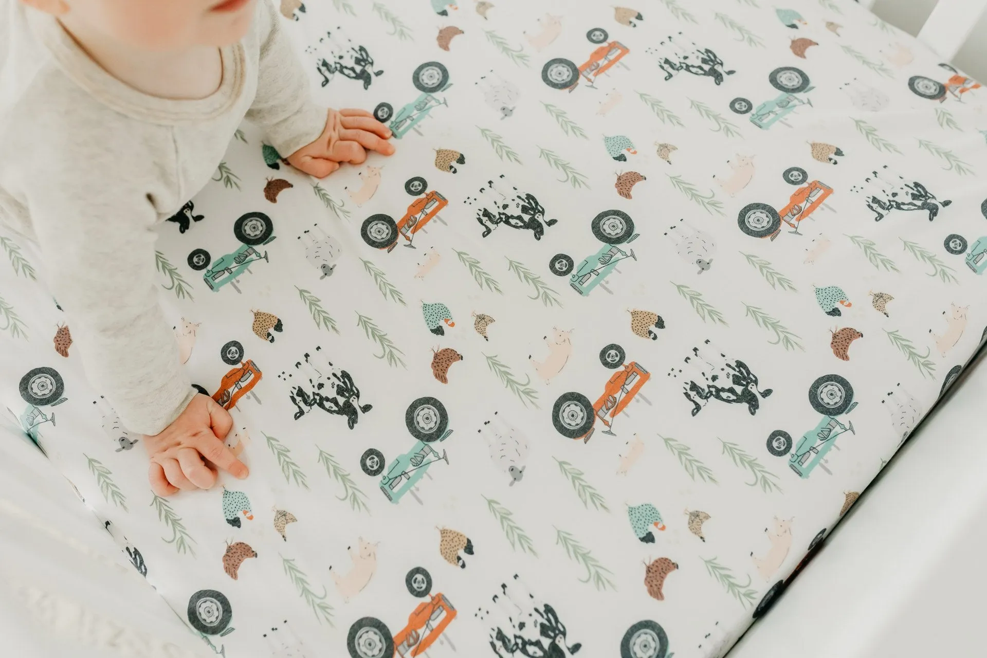 Copper Pearl Jo Fitted Crib Sheet
