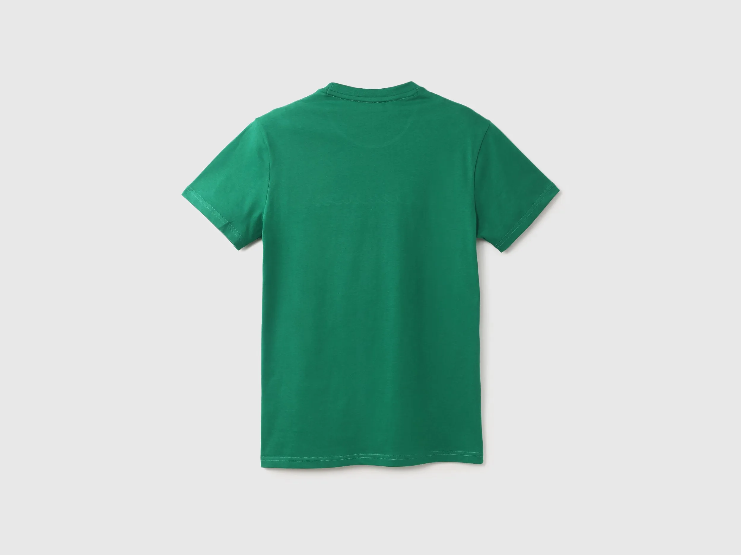 Men Green Printed Regular T Shirt