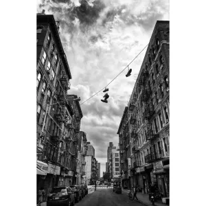 sneaker alley