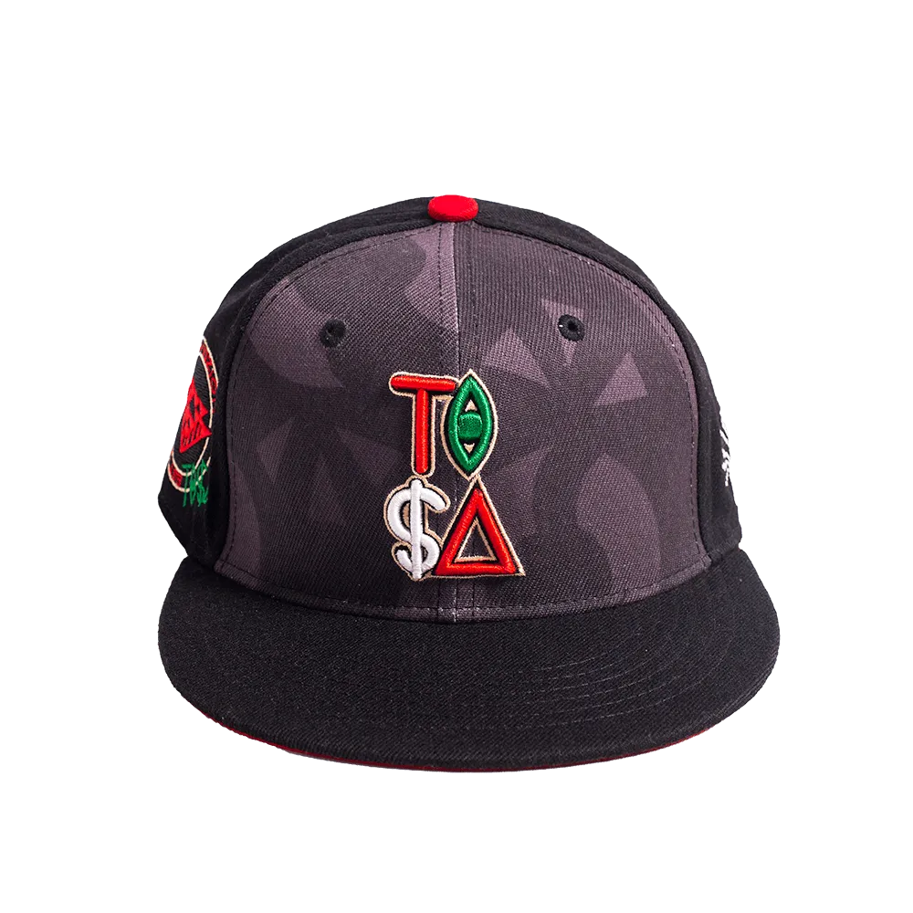 TISA JUNETEENTH FITTED HAT