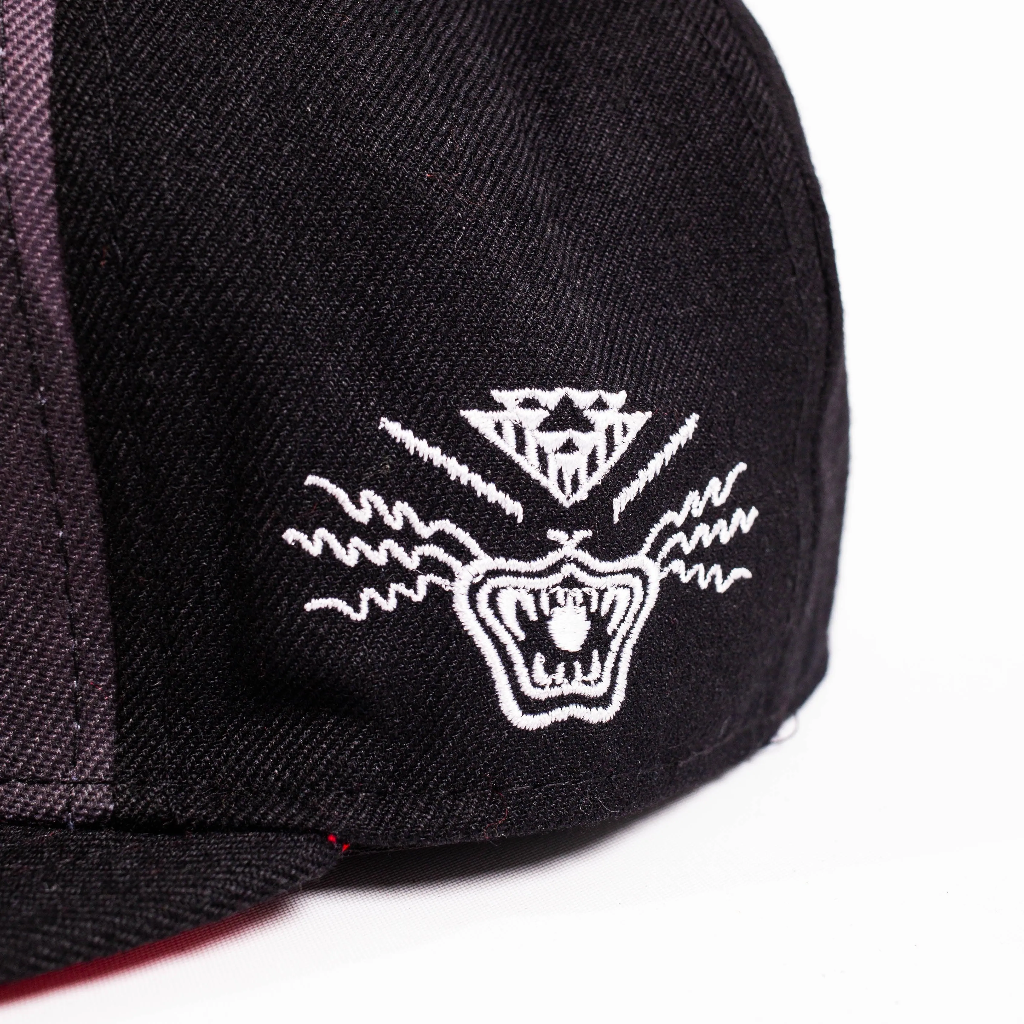 TISA JUNETEENTH FITTED HAT