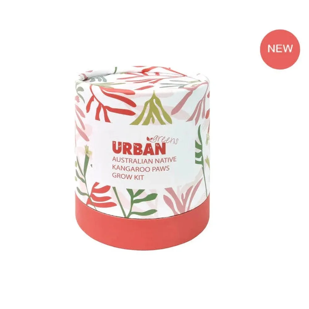 Urban Greens Australian Native Grow Kit - Kangaroo Paws